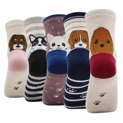 PACK de 5 PAIRES de CHAUSSETTES -Les Piteux Pitous - Jappe Prouve