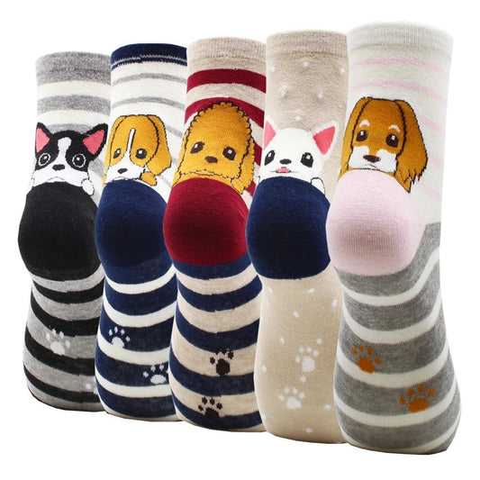 Chaussettes Pur plaisir - Divers CHOIX de PACK de 5 PAIRES - Jappe Prouve